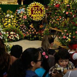 flores para san judas tadeo